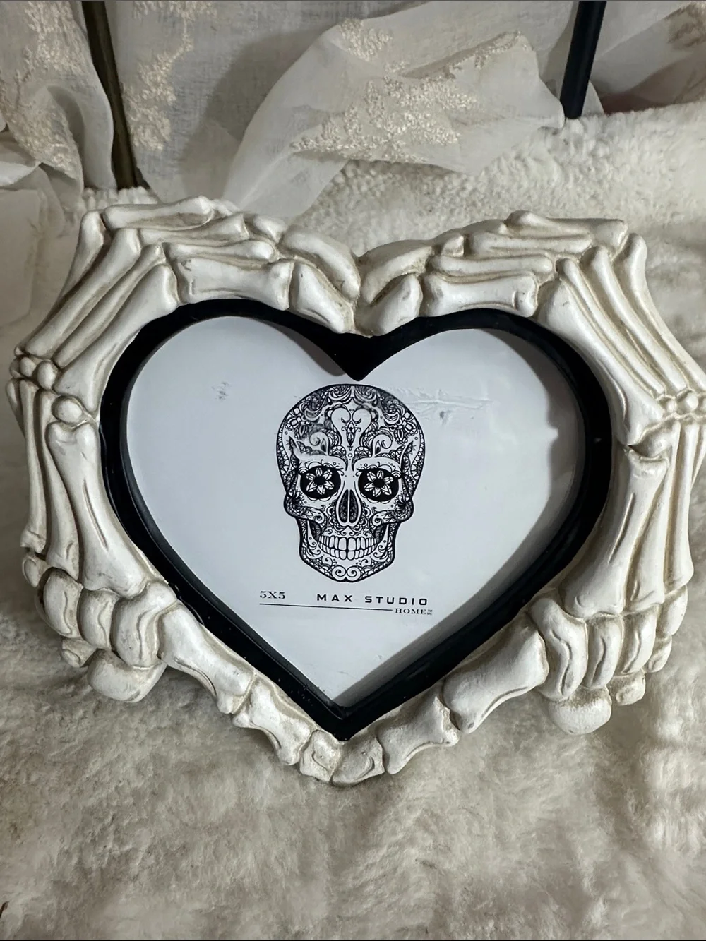 Max studio Skeleton 💀 5” x5” picture frame